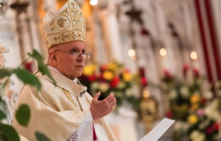 Archbishop Samuel Aquila of Denver. Credit: Denver Catholic